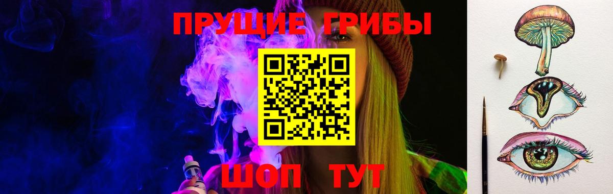 Галлюциногенные грибы Psilocybe  Вход с VPN  Протвино 