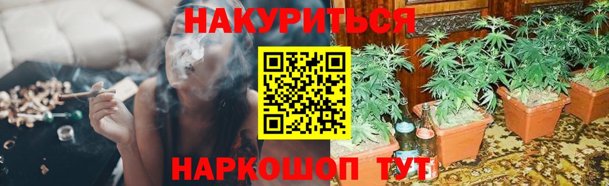 Бошки Шишки марихуана  Вход с VPN  Бошки марихуана семена  Протвино  Бошки марихуана индика 